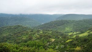 ¡Aves y Naturaleza se dan cita en Monfragüe para la FIO 2024!