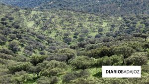 La Junta de Extremadura Refuerza el Plan Infoex con Nuevas Máquinas