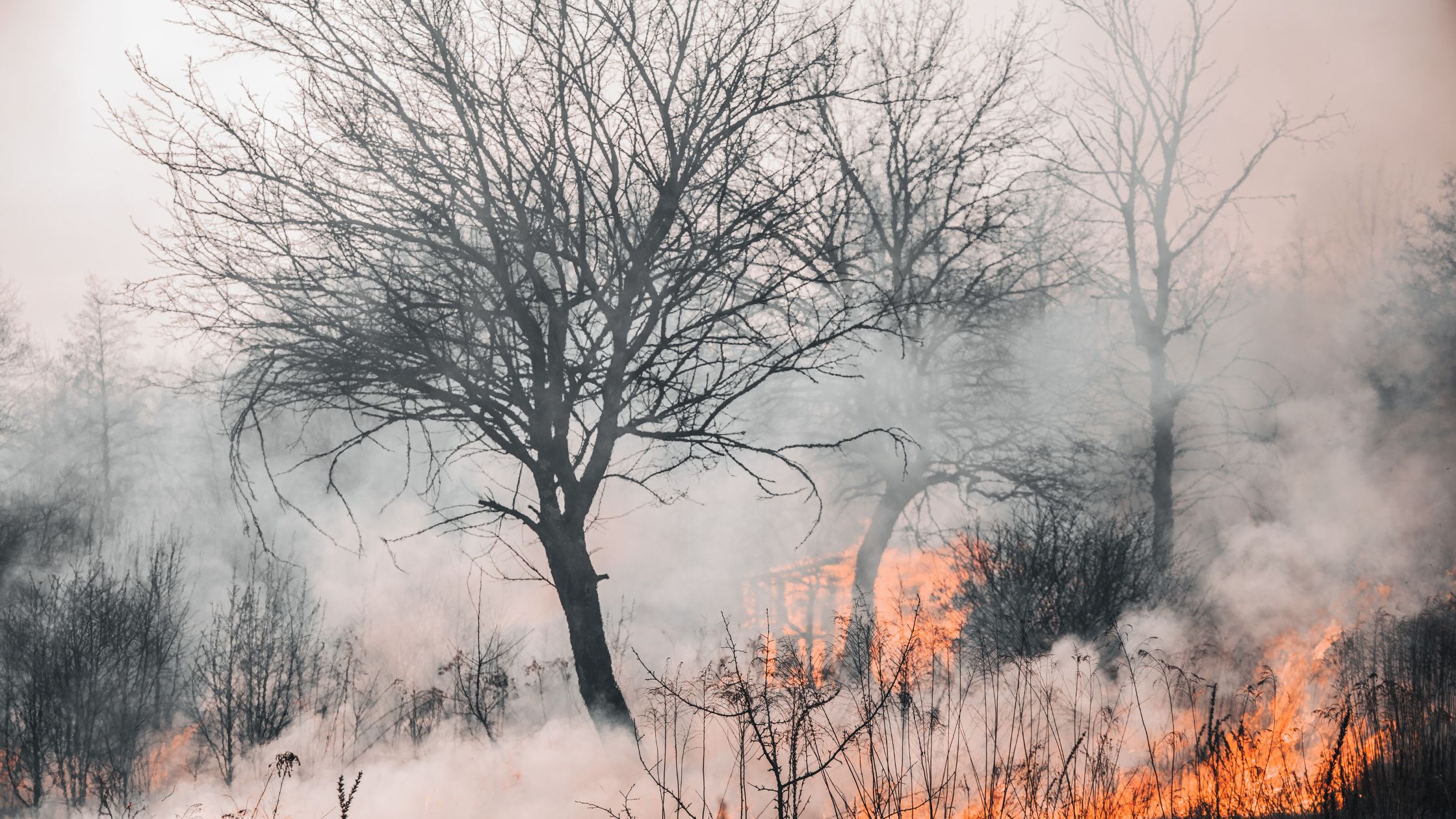 Plan Infoex registra 57 intervenciones en Extremadura, 22 incendios forestales