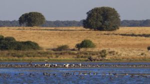 Alcaldes de Tentudía, Serena–Vegas Altas y La Siberia perfilan proyectos para fondos UE