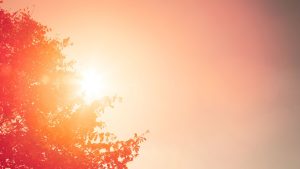 Badajoz y las Vegas del Guadiana en alerta naranja por calor extremo