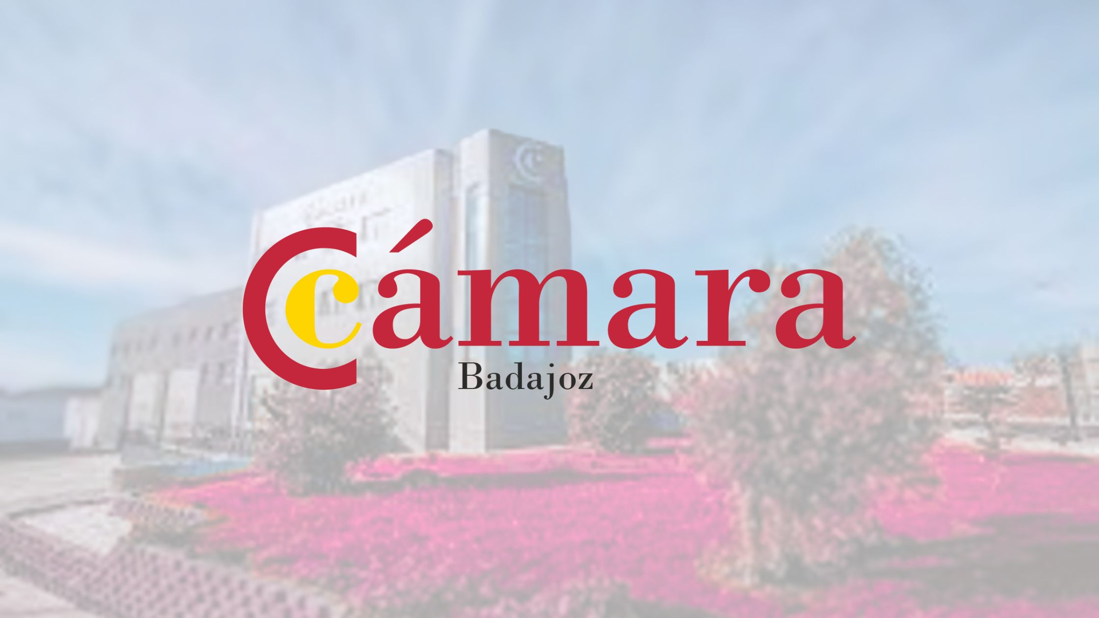 Camara de Comercio de Badajoz