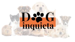 DogInquieta la iniciativa pacense que pone a Badajoz en el mapa del turismo con mascotas