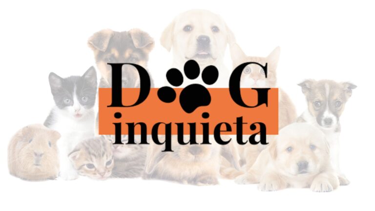 DogInquieta: la iniciativa pacense que pone a Badajoz en el mapa del turismo con mascotas 1 DogInquieta la iniciativa pacense que pone a Badajoz en el mapa del turismo con mascotas