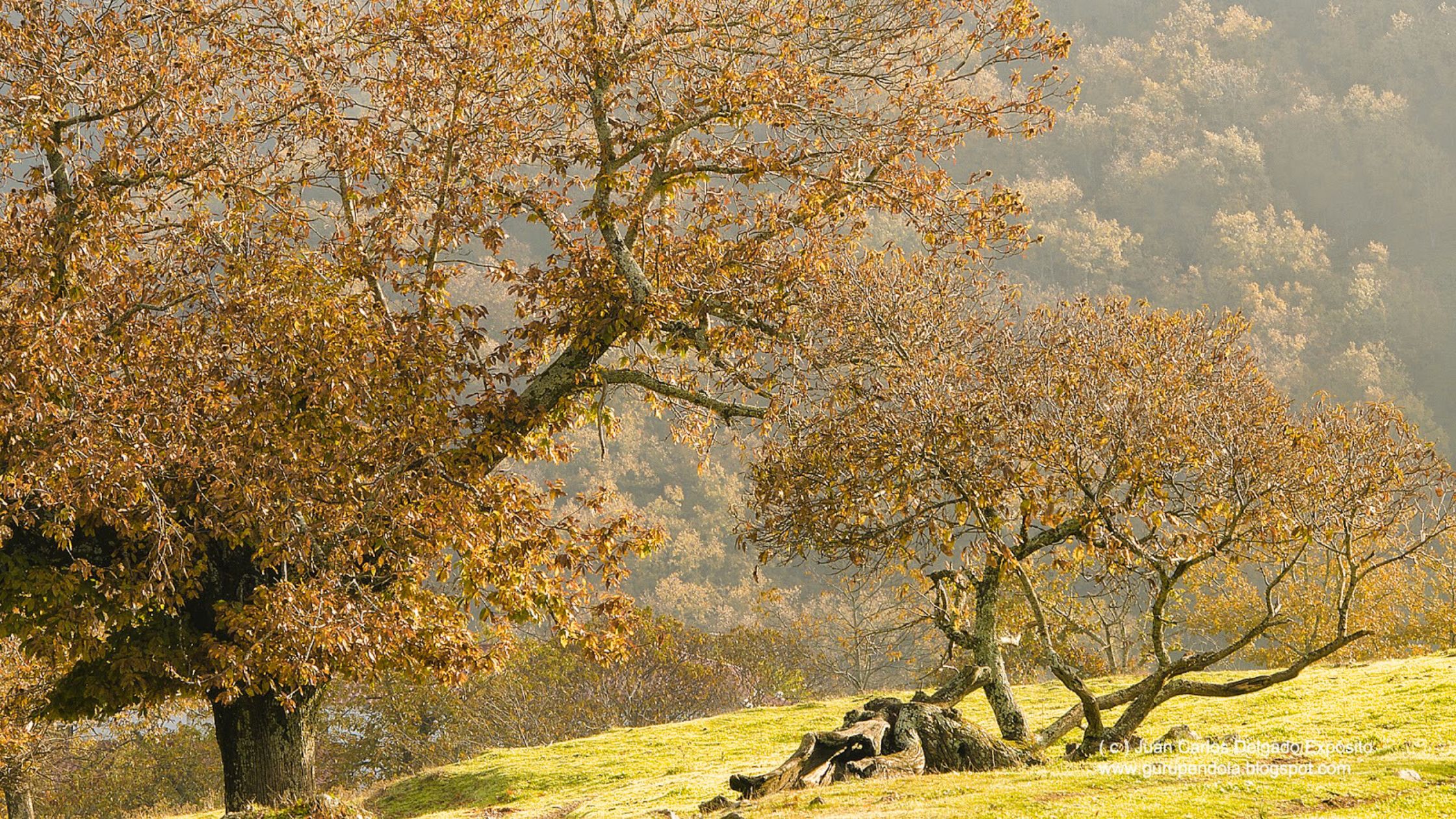 Llega el Otoño a Tentudía