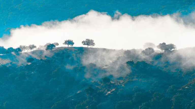 Jornada nubosa pero con ascenso térmico en Extremadura 3 Jornada nubosa pero con ascenso térmico en Extremadura