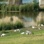 Reabren parques y zonas verdes en Badajoz