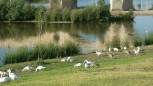 Reabren parques y zonas verdes en Badajoz