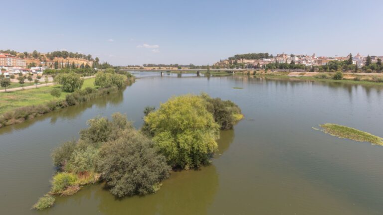 safaris ornitologicos rio guadiana badajoz