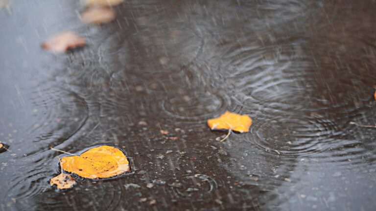 Badajoz cierra parques e instalaciones deportivas por el aviso rojo de lluvias